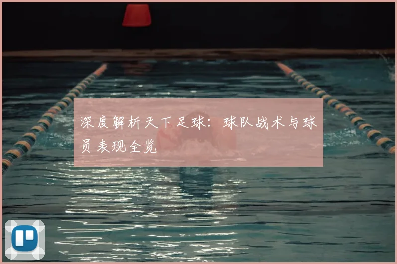 深度解析天下足球：球队战术与球员表现全览