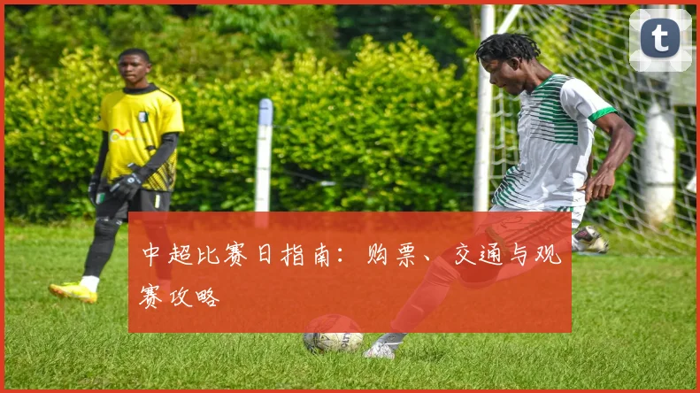 中超比赛日指南:购票、交通与观赛攻略